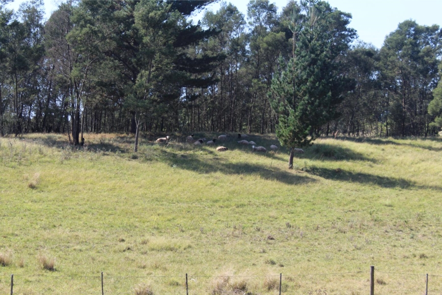 Commercial Property for Sale in Stutterheim Eastern Cape